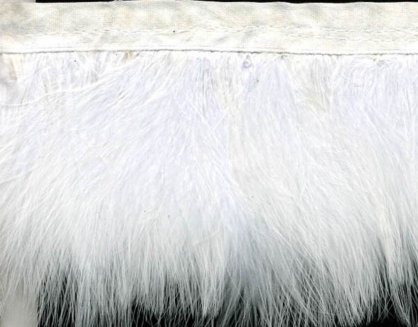 3" Feather Fringe-White With White Ribbon
