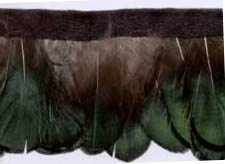 1.5" Feather Fringe-Green Combo With Black Ribbon