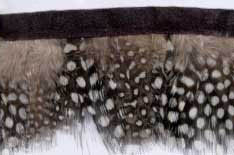 1.75" Feather Fringe-Brown White Combo With Black Ribbon