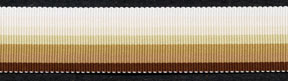 <font color="red">IN STOCK</font><br>7/8" Acetate Woven Edge Ombre Stripe Grosgrain Ribbon-Earth Tones