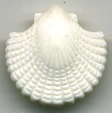 <font color="red">IN STOCK</font><br>28L Shank Button Sea Shell-Off White